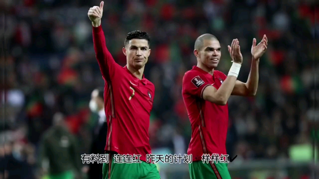 斯洛伐克队在欧预赛中迎来胜利 斯洛伐克队在欧预赛中迎来胜利