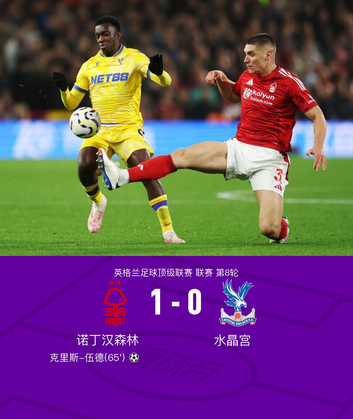 水晶宫主场小胜,欧战希望再次点燃 水晶宫主场小胜,欧战希望再次点燃