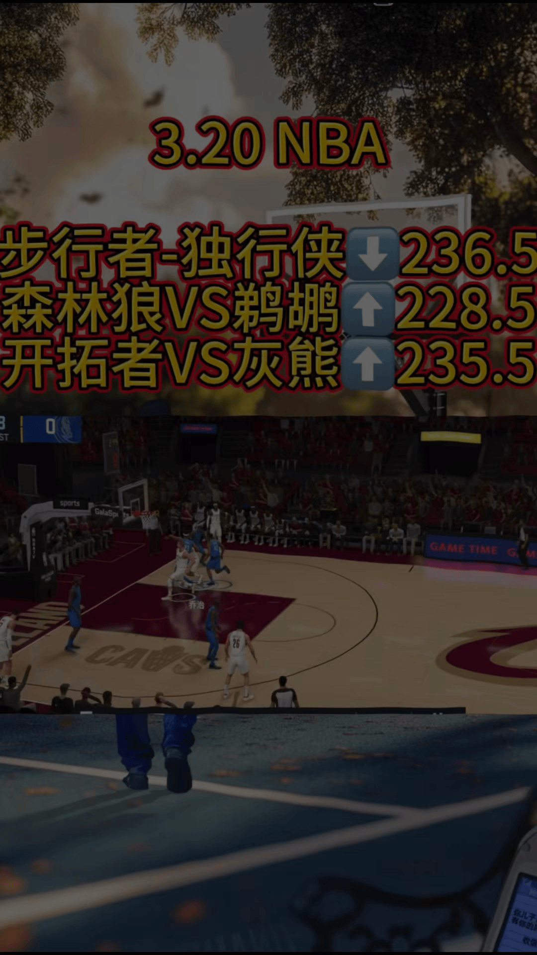 FB体育-步行者取得重要胜利,击败灰熊