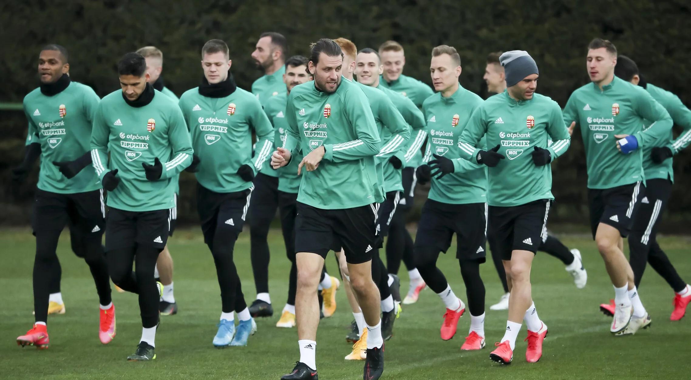 FB体育官网-匈牙利晋级,球迷欢呼胜利到来